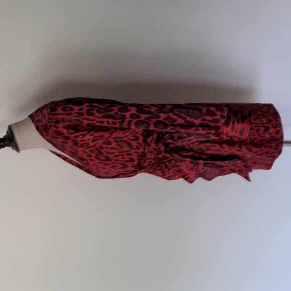 Zara Dress - Picture 3 of 11